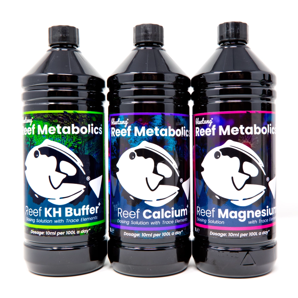 bluetang-reef-metabolics-coral-building-set